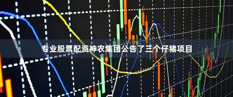 专业股票配资神农集团公告了三个仔猪项目