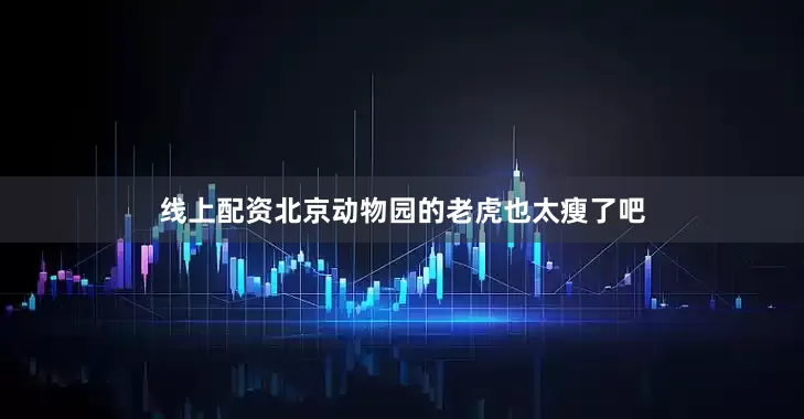 线上配资北京动物园的老虎也太瘦了吧