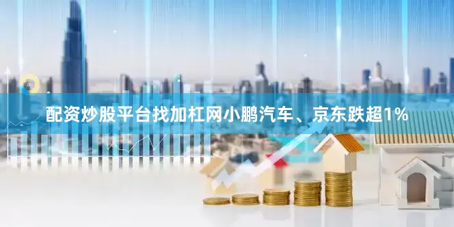 配资炒股平台找加杠网小鹏汽车、京东跌超1%