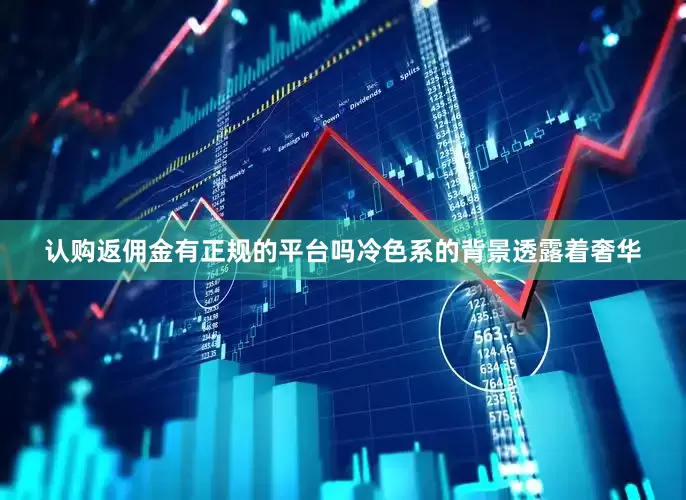 认购返佣金有正规的平台吗冷色系的背景透露着奢华